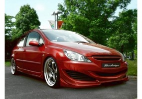 Kit carroceria Peugeot 307...