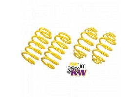 Juego de muelles ST Bmw M3...