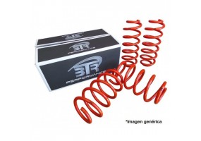 Juego De Muelles BTR Opel...