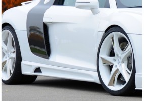 Faldon lateral Rieger Audi...