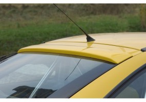 Aleron luna trasera Rieger...