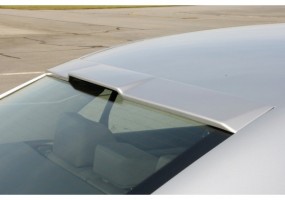 Aleron luna trasera Rieger...