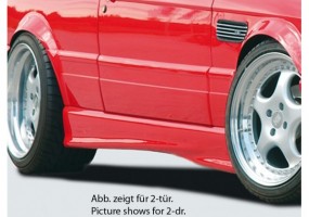 Faldon lateral Rieger BMW...