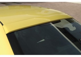 Aleron luna trasera Rieger...