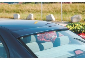 Aleron luna trasera Rieger...