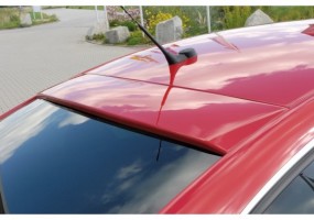 Aleron luna trasera Rieger...