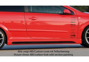 Faldon lateral Rieger Opel...