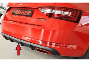 Añadido Rieger Skoda Superb...