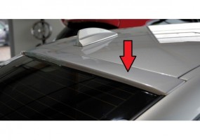 Aleron luna trasera Rieger...