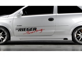 Talonera lateral derecho...