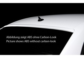 Aleron luna trasera Rieger...