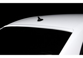 Aleron luna trasera Rieger...