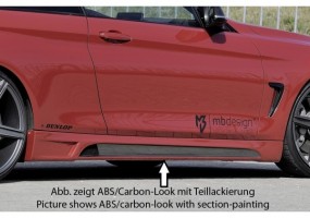 Faldon lateral Rieger BMW...