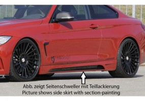 Faldon lateral Rieger BMW...