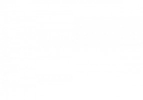 Añadido Rieger VW Polo 6...