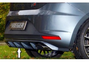Añadido Rieger Seat Leon...