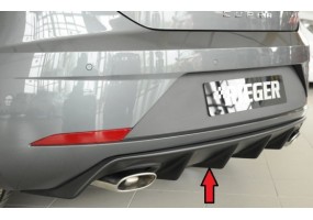 Añadido Rieger Seat Leon...