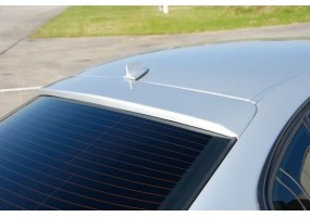 Aleron luna trasera Rieger...