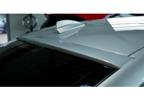 Aleron luna trasera Rieger...