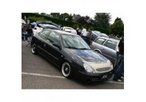 Protector capo Citroen...