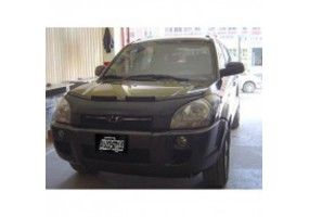 Protector capo Hyundai...