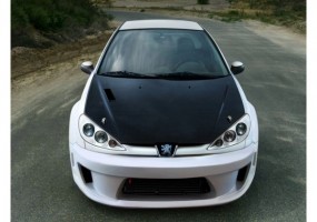 Paragolpes delantero...