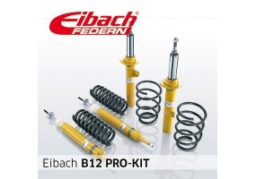 Eibach Bmw X3 (e83) 2.5 I+...