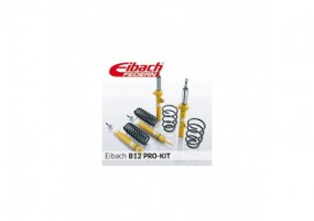 Eibach Bmw X1 (e84)...