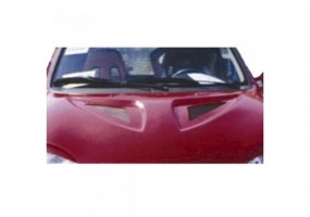 Entrada de aire Racing...