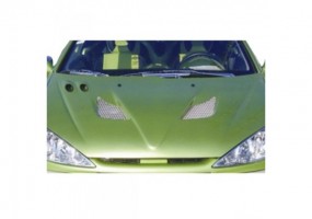 Entrada de aire Galope...