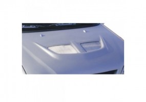 Entrada de aire Evo VI...