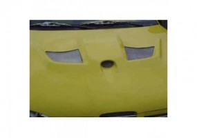 Entrada de aire Evo II...