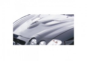 Entrada de aire Evoline...