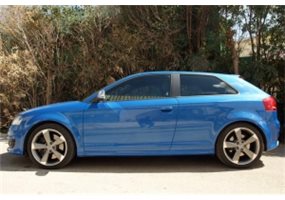 Faldones Laterales Audi A3 8p Monor 
