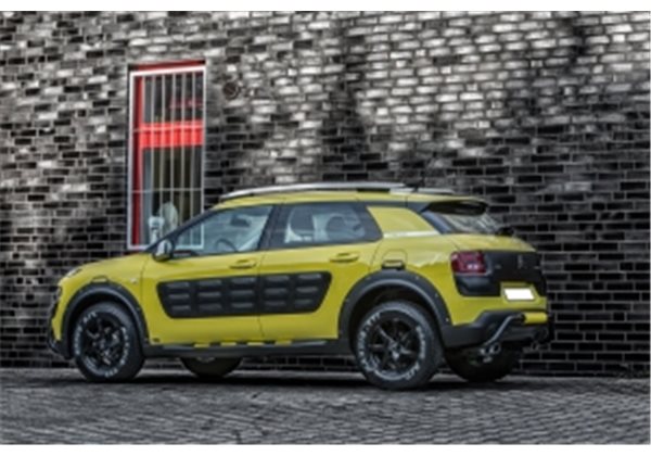 Taloneras Laterales Citroen C4 Cactus Mystic 