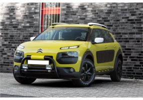 Taloneras Laterales Citroen C4 Cactus Mystic 