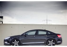 Taloneras Laterales Citroen C5 Mk2 Mystic 