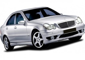 Paragolpes delantero AKG...