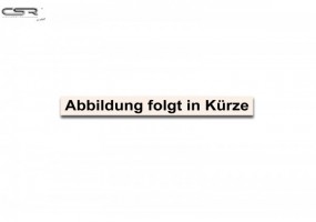 Aleron Luna Trasera...