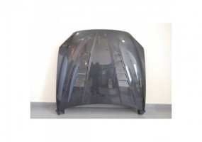 Capo Carbono BMW F12 / F13...