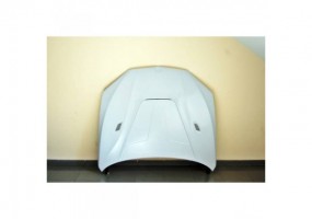 Capo De Fibra BMW F15 / F16