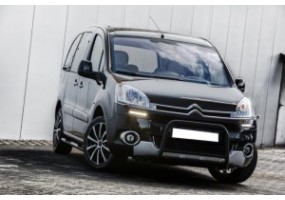 Añadidos citroen berlingo...