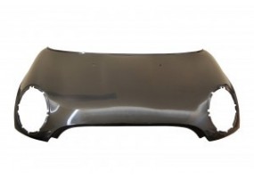 Capo mini cooper 2...