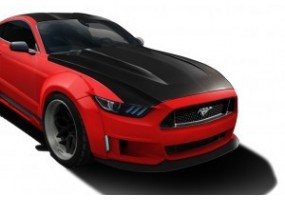 Capo ford mustang mk6 drag...