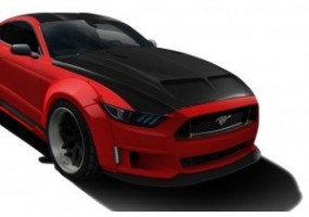 Capo ford mustang mk6...