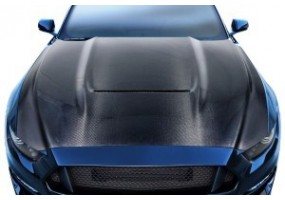 Capo ford mustang mk6...