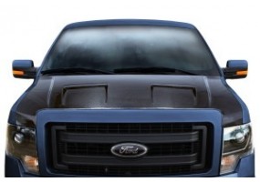 Capo ford f150 drifter...
