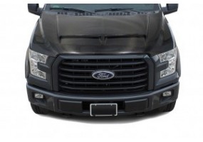 Capo ford f150 genesys...