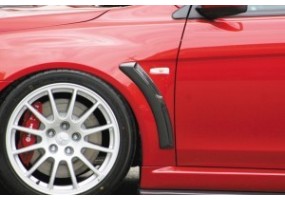 Pasos rueda-aletas...