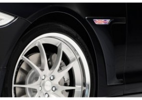 Pasos rueda-aletas jaguar...